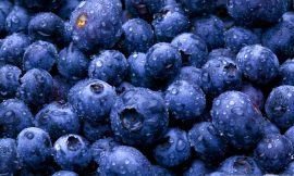 Blueberry, o Melhor alimento para os Olhos