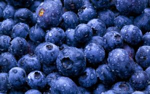 Blueberry, o Melhor alimento para os Olhos