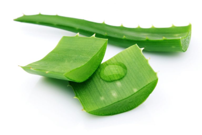 Conheça os Benefícios de Aloe Vera