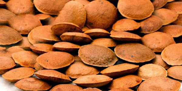 Semente de sucupira, a lenda real para saúde!