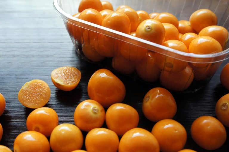 O Alimento Mais Completo de Origem Vegetal!