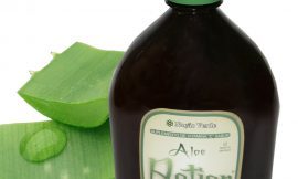 Aloe Vera – Antioxidante Natural