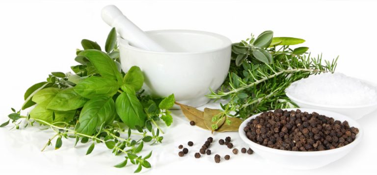 Especial Fitoterapia. Conheça o poder das Ervas Medicinais!