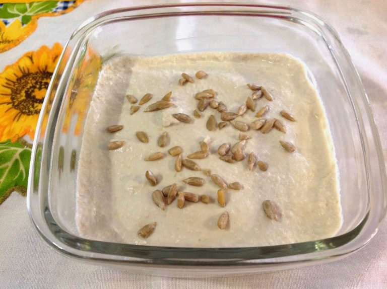 Patê vegetariano de semente de girassol