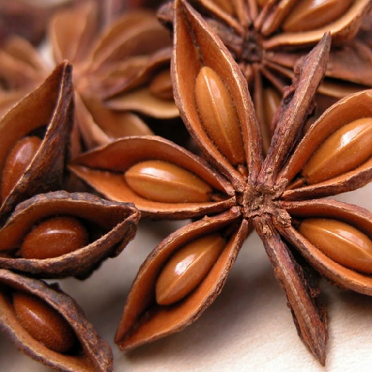 Especial de chás: Anis