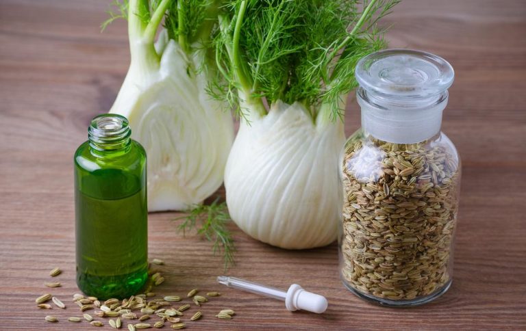 Descubra os Benefícios do Funcho (Erva Doce) para sua Saúde e Bem-Estar